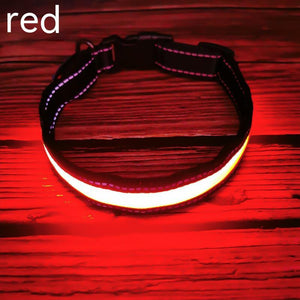 USB Rechargeable LED Dog Collar – Reflective Stripe Design