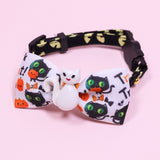 Safe & Comfy Pet Collar – Small Cats and Dogs