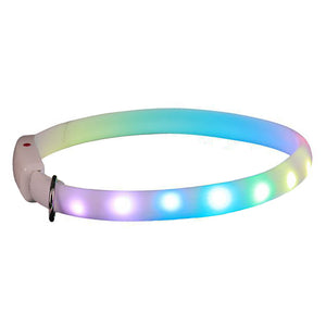 Flashing LED Pet Collar – Keep Pets Safe Outdoors