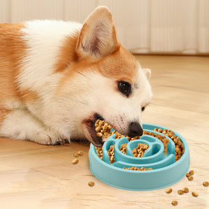 Anti-Choking Dog Feeder – Mindful Eating Made Easy