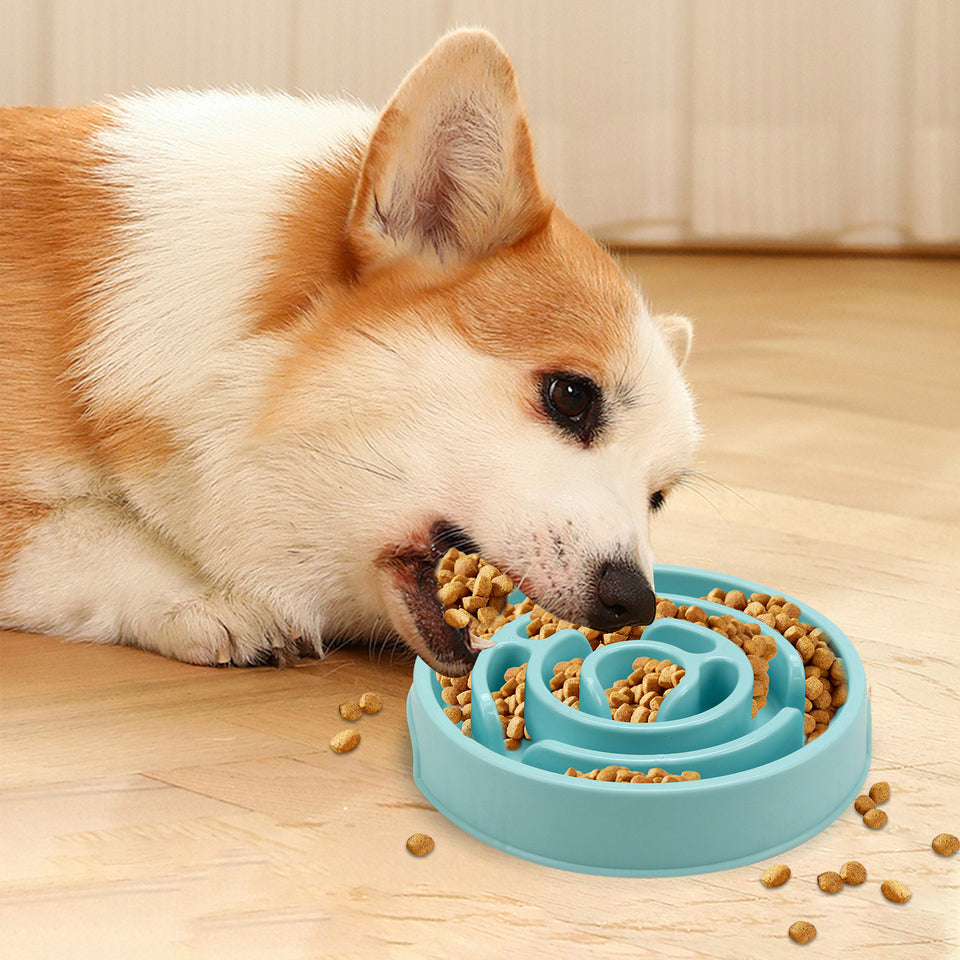 Anti-Choking Dog Feeder – Mindful Eating Made Easy