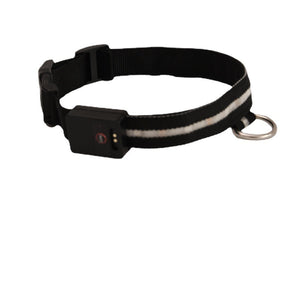 Colorful LED Dog Collar – Fun & Visible Walks