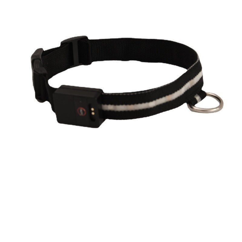 Colorful LED Dog Collar – Fun & Visible Walks
