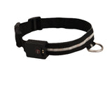 Colorful LED Dog Collar – Fun & Visible Walks
