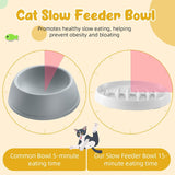 Anti-Gulping Cat & Dog Bowl – Slow Eating Made Fun