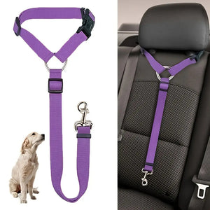 Two-in-One Pet Seat Belt & Leash – Secure Rides