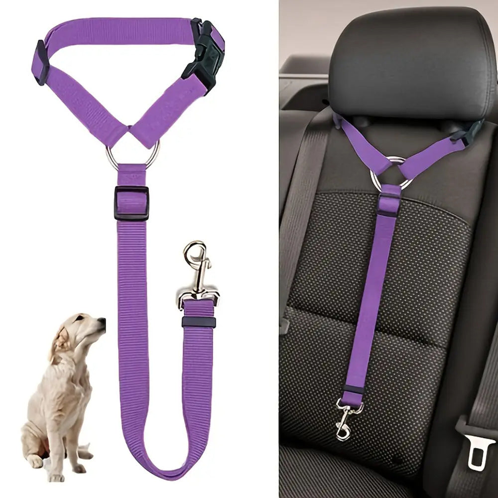 Two-in-One Pet Seat Belt & Leash – Secure Rides