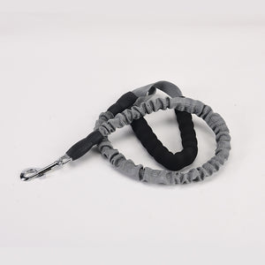 Durable Explosion-Proof Leash for Active Dogs