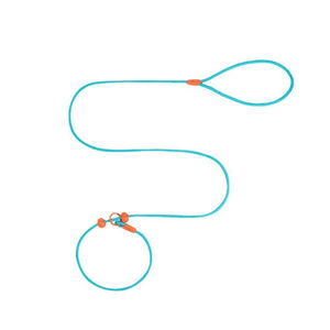Reliable Dog Leash for Comfortable, Stress-Free Walks