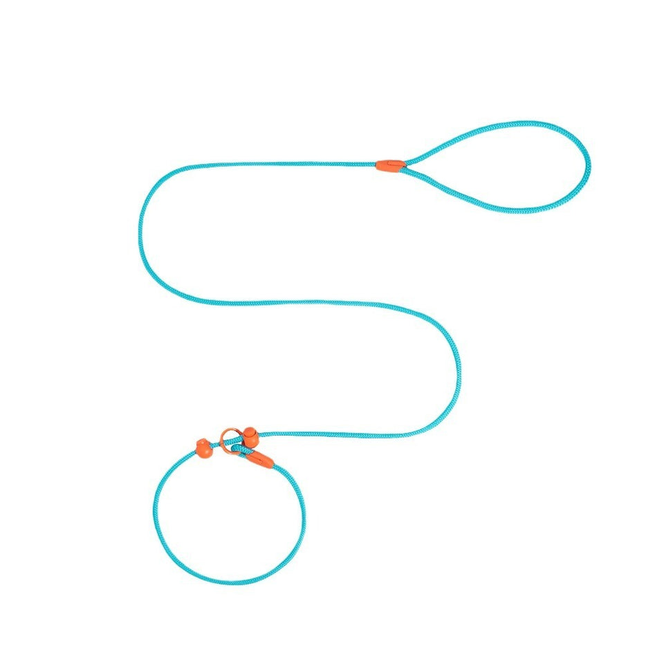 Reliable Dog Leash for Comfortable, Stress-Free Walks