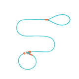 Reliable Dog Leash for Comfortable, Stress-Free Walks