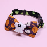 Safe & Comfy Pet Collar – Small Cats and Dogs