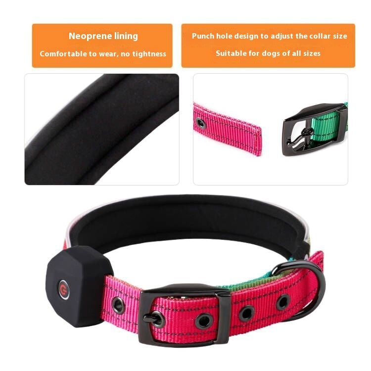 Bright Buddy Reflective LED Collar for Night Walks