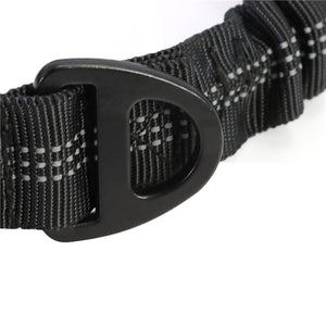 Strong Bungee Dog Leash for Large and Medium Dogs