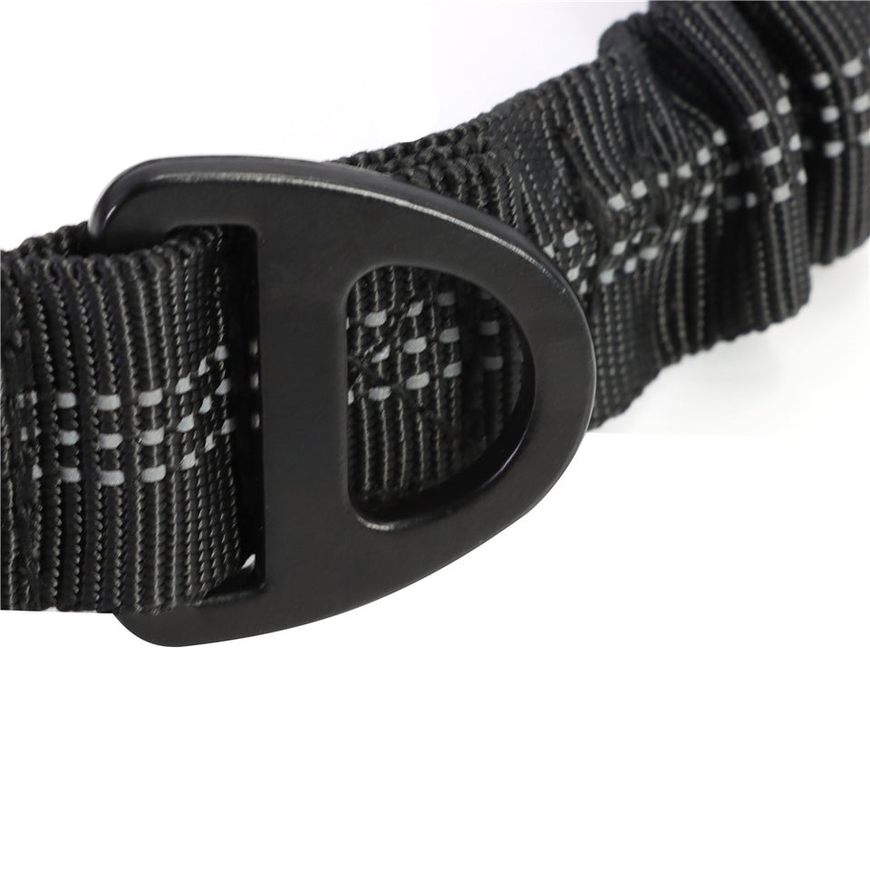 Strong Bungee Dog Leash for Large and Medium Dogs