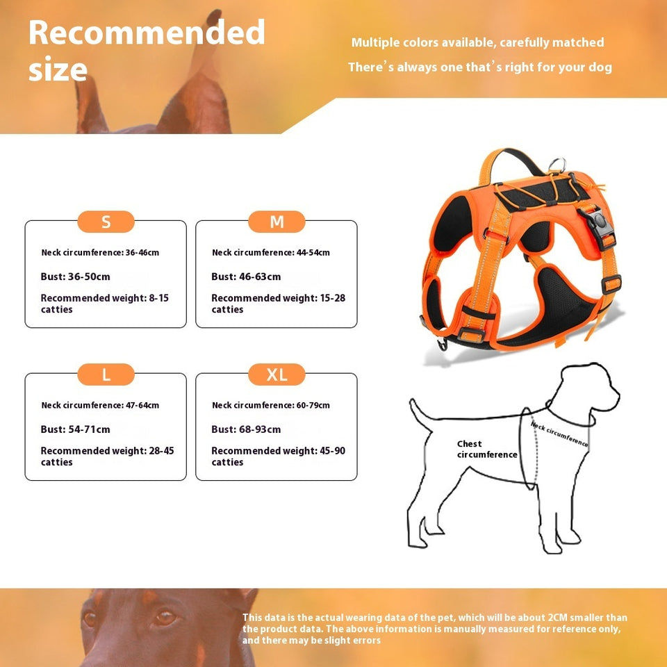 Reflective Dog Harness with Strong Leash for Safe Walks