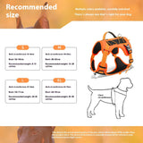 Reflective Dog Harness with Strong Leash for Safe Walks