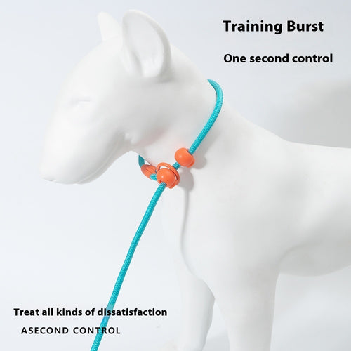 Reliable Dog Leash for Comfortable, Stress-Free Walks