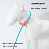 Reliable Dog Leash for Comfortable, Stress-Free Walks