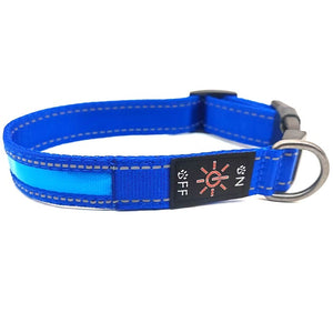 USB Rechargeable LED Dog Collar – Reflective Stripe Design