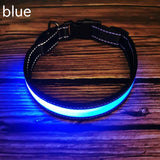 USB Rechargeable LED Dog Collar – Reflective Stripe Design