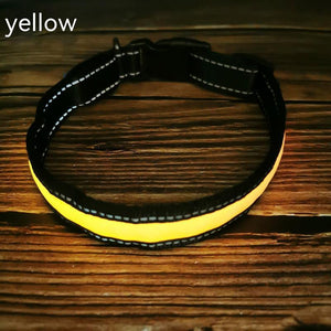 USB Rechargeable LED Dog Collar – Reflective Stripe Design