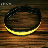 USB Rechargeable LED Dog Collar – Reflective Stripe Design