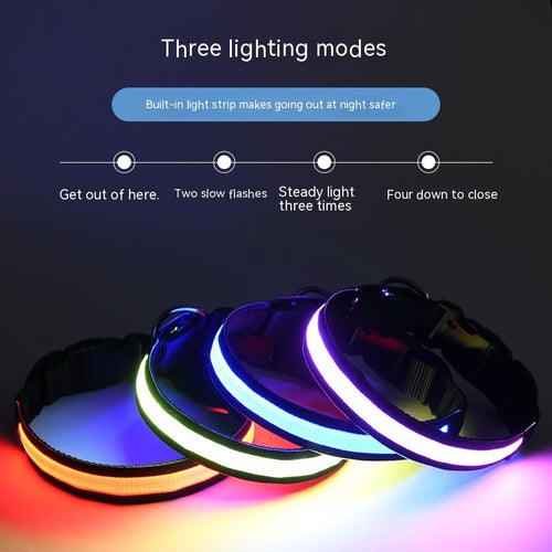 USB LED Dog Collar – Rechargeable Luminous Nylon Collar
