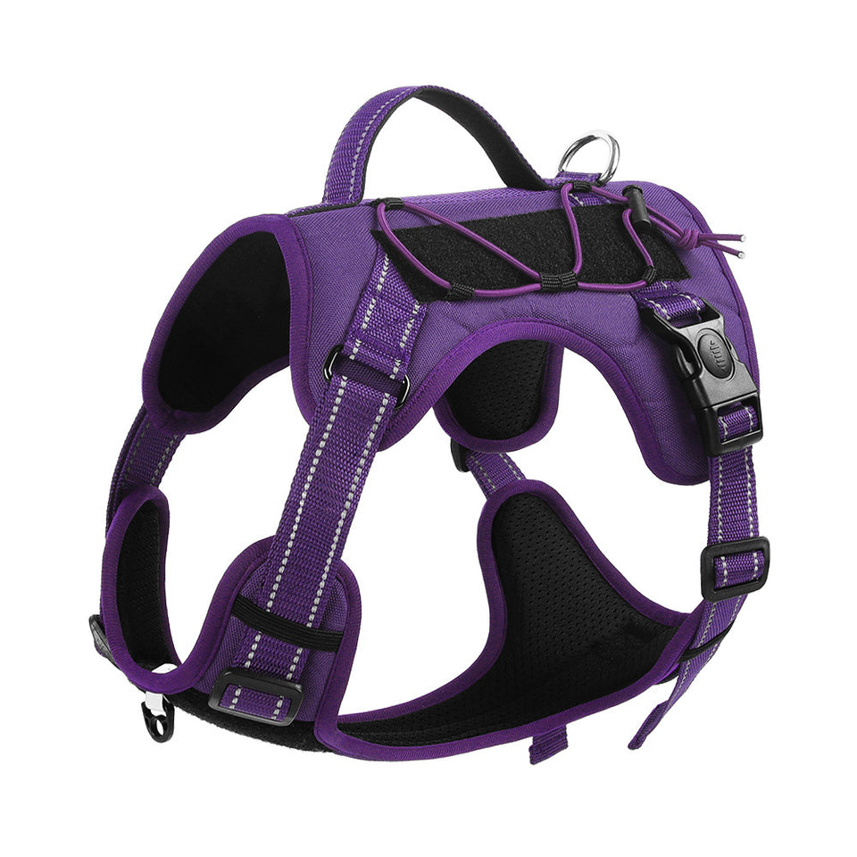 Reflective Dog Harness with Strong Leash for Safe Walks
