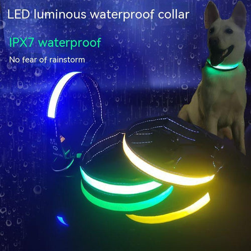 USB Rechargeable LED Dog Collar – Reflective Stripe Design
