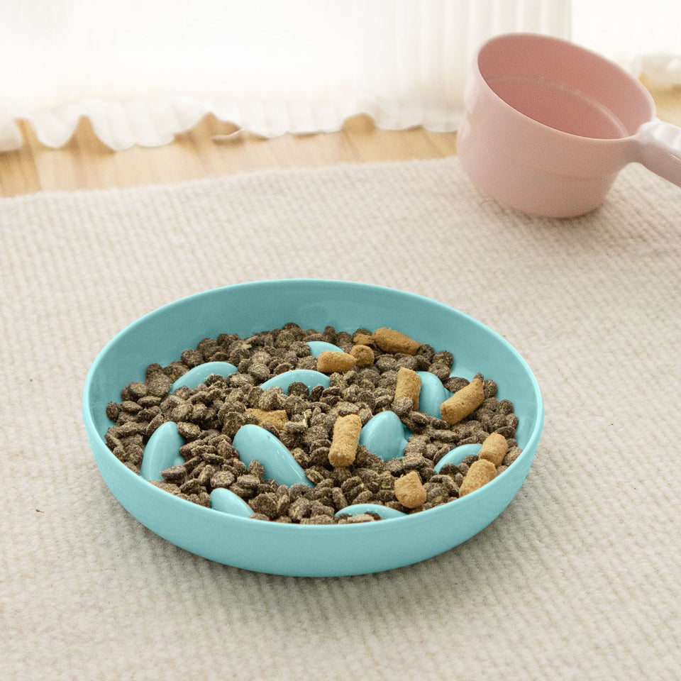 Dogs & Cats Slow Eating Bowl – Easy Feed