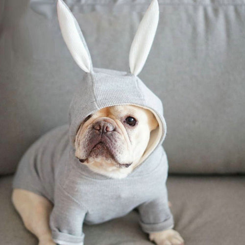 Adorable Rabbit Ears Dog Sweater – Cozy Knitted Pet Outfit