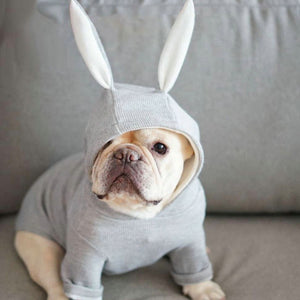 Adorable Rabbit Ears Dog Sweater – Cozy Knitted Pet Outfit