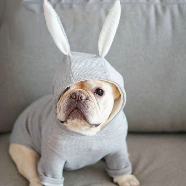 Adorable Rabbit Ears Dog Sweater – Cozy Knitted Pet Outfit