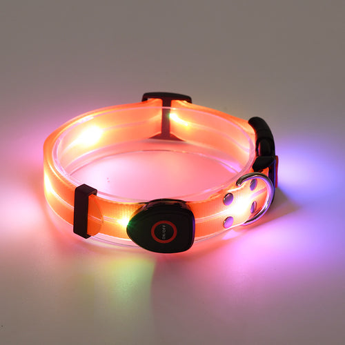 Glow Paws LED Pet Collar – Rechargeable Safety Rope