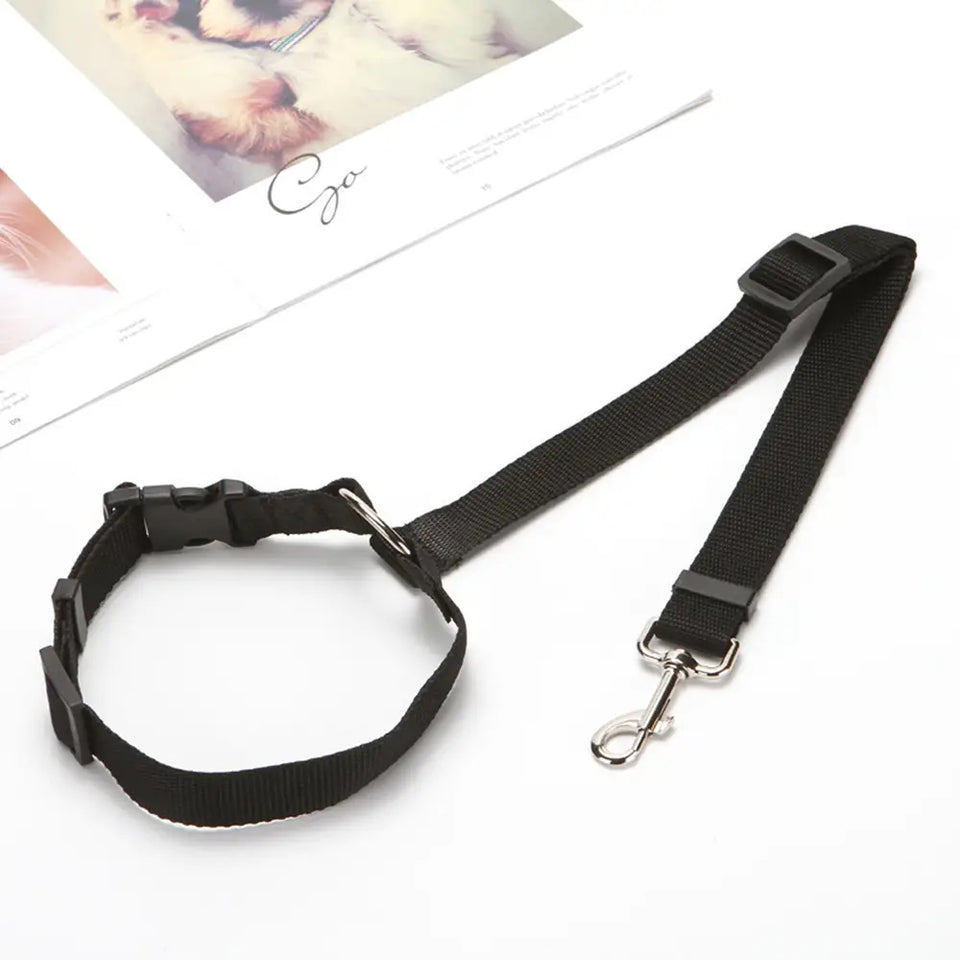 Two-in-One Pet Seat Belt & Leash – Secure Rides
