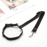 Two-in-One Pet Seat Belt & Leash – Secure Rides