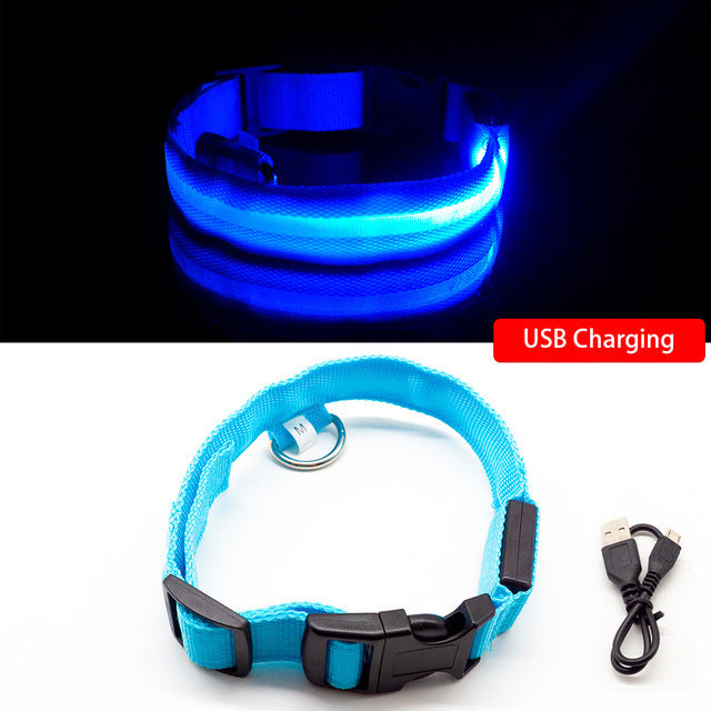 LED Dog Collar – Recharge, Shine, Repeat