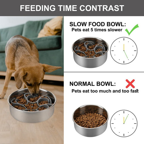 Spiral Slow Feeder Dog Bowl – Healthy, Happy Mealtime