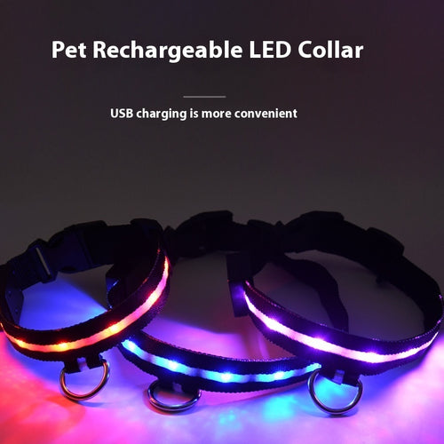 Colorful LED Dog Collar – Fun & Visible Walks