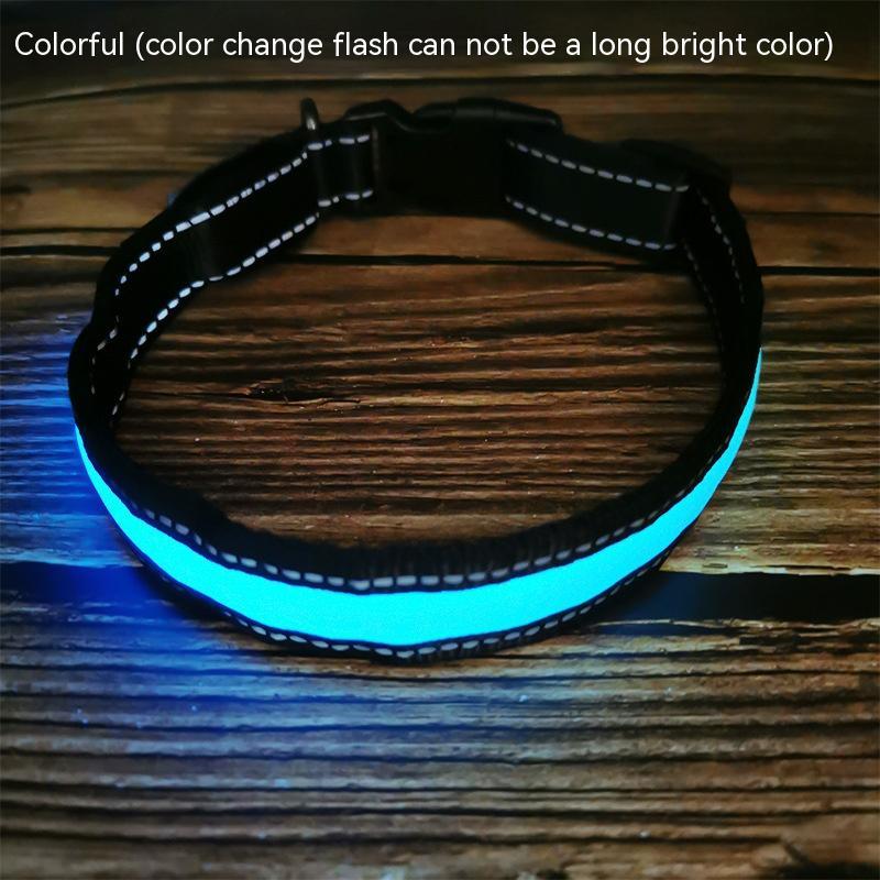 USB Rechargeable LED Dog Collar – Reflective Stripe Design