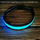 USB Rechargeable LED Dog Collar – Reflective Stripe Design