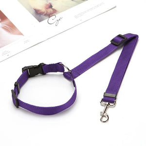 Two-in-One Pet Seat Belt & Leash – Secure Rides