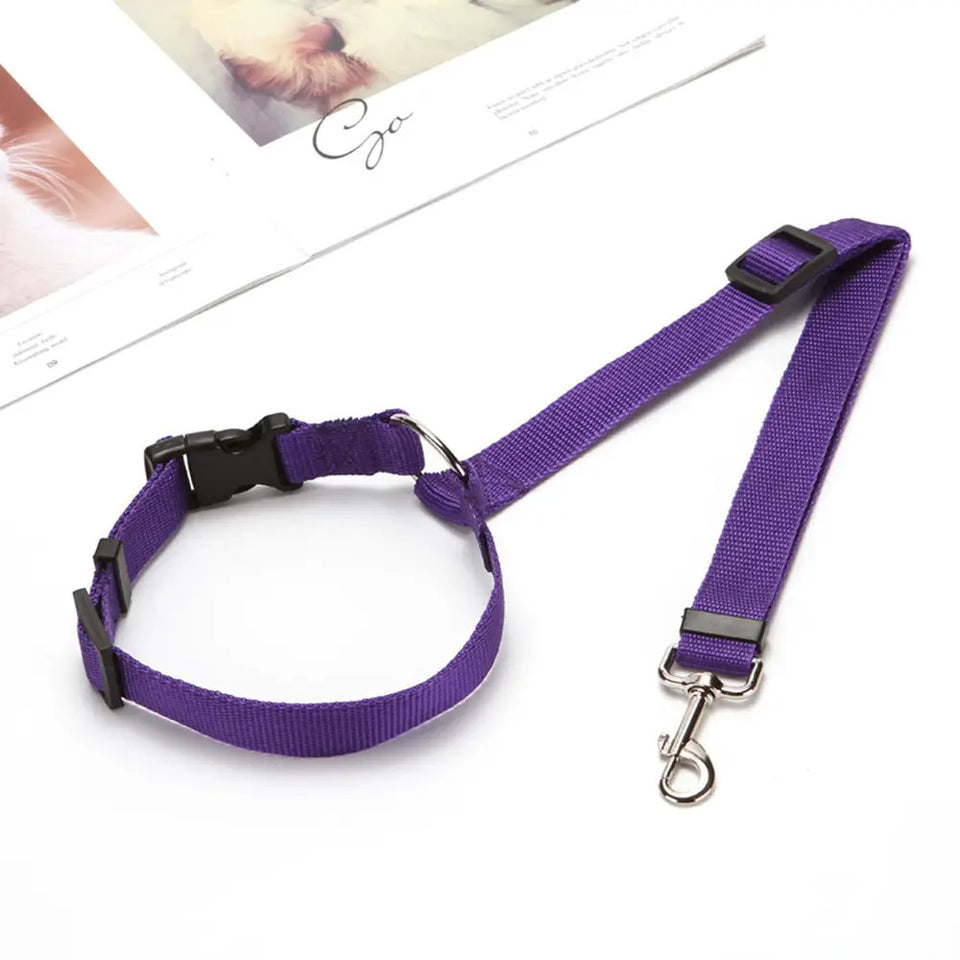 Two-in-One Pet Seat Belt & Leash – Secure Rides