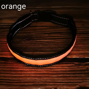 USB Rechargeable LED Dog Collar – Reflective Stripe Design