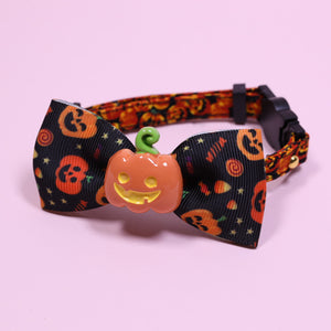 Safe & Comfy Pet Collar – Small Cats and Dogs