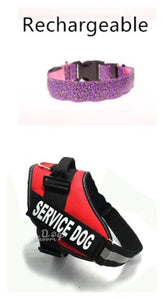 Adjustable LED Dog Collar – Bright and Fashionable
