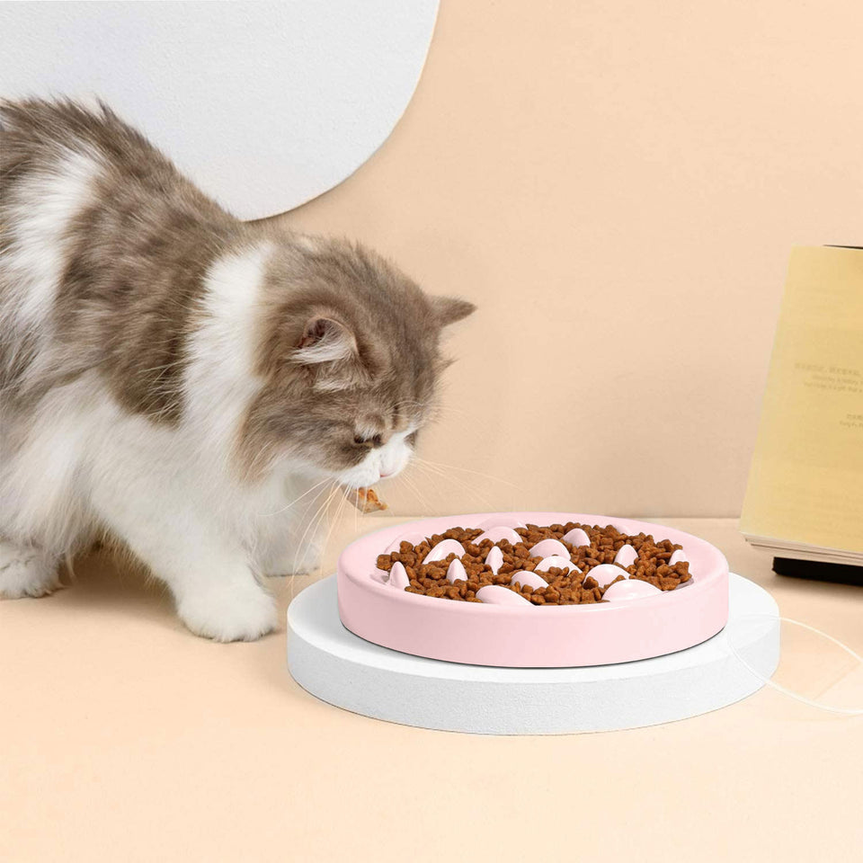 Dogs & Cats Slow Eating Bowl – Easy Feed
