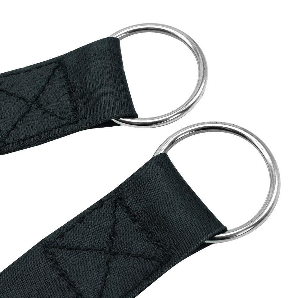 Dog Training Leash and Chest Strap for Better Control