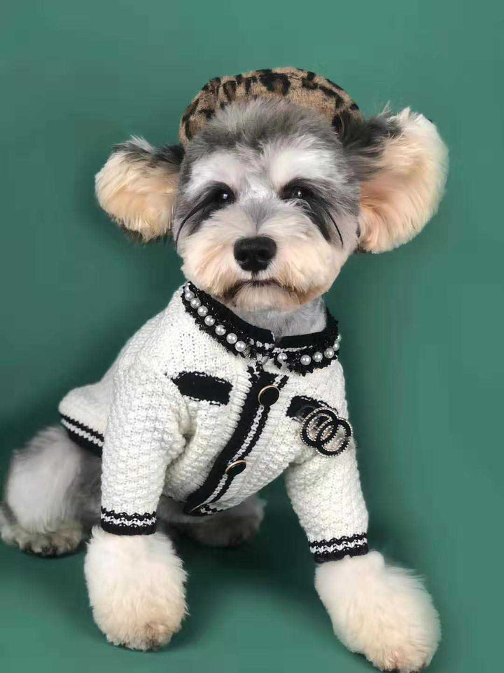 Adorable Pomeranian & Schnauzer Cardigan – Spring Pet Outfit